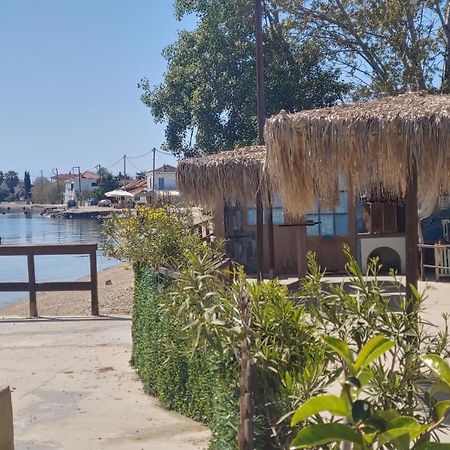 Stone Villa Inside Sea- Kids'Land Platanidia Ngoại thất bức ảnh
