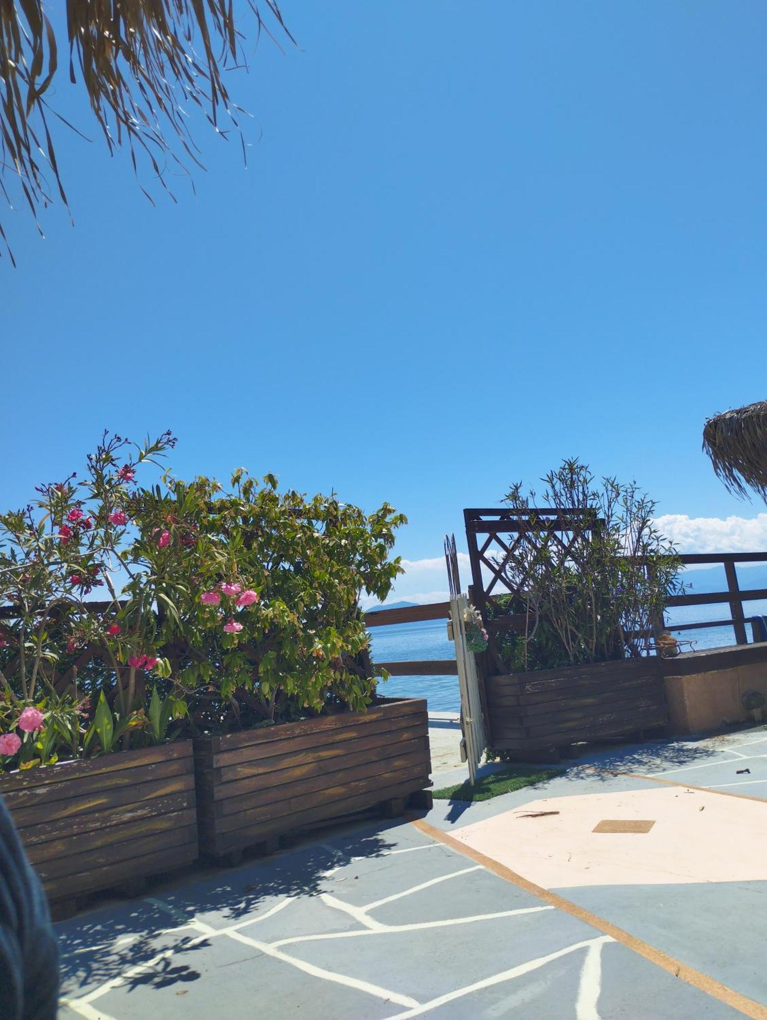 Stone Villa Inside Sea- Kids'Land Platanidia Ngoại thất bức ảnh